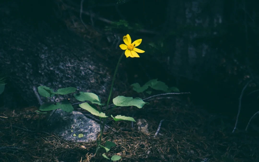 Embracing the fertile void