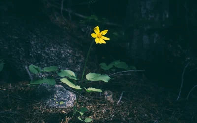 Embracing the fertile void