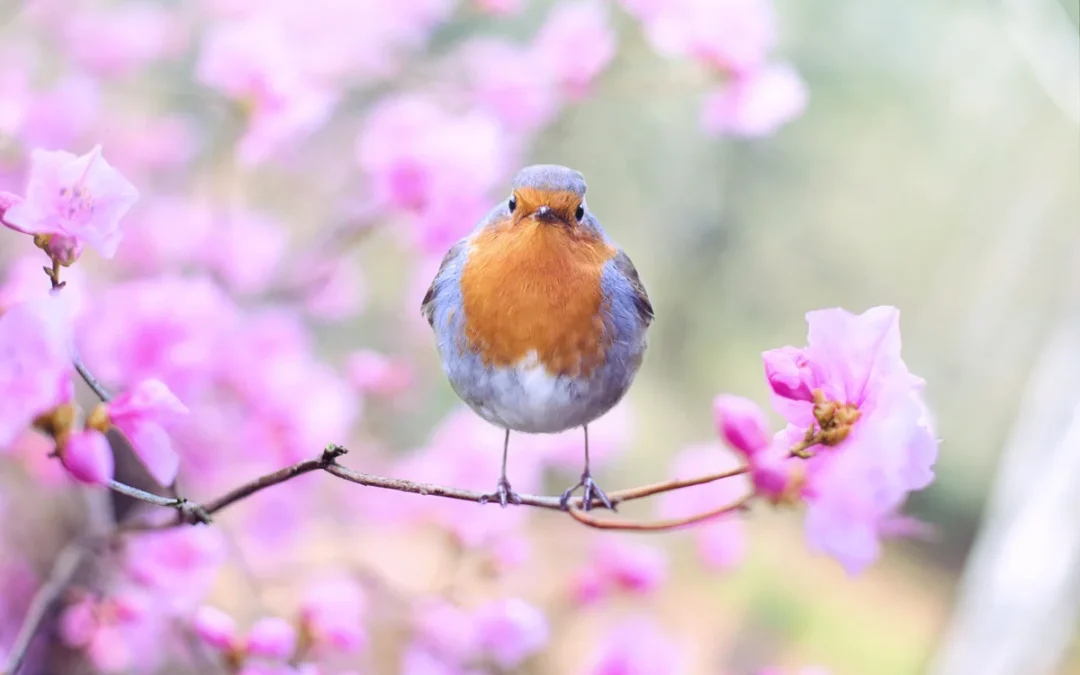 Five steps to cultivating emotional resilience