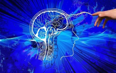 How to hack your brain chemicals