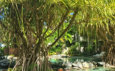 Naming trees and other mental health interventions