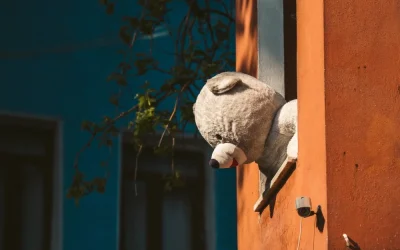 Your ABC to social reintegration